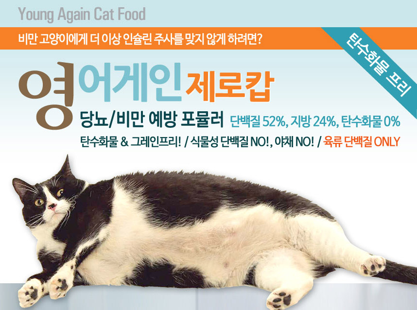 영어게인 이미지
