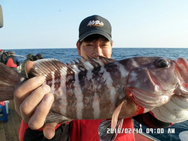만선바다 이미지