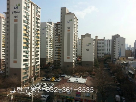 부개그린 이미지
