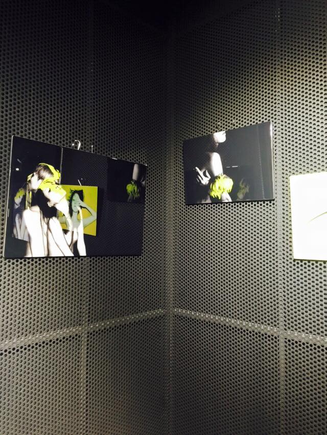 코코갤러리 이미지