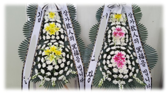 야탑동 351 (분당차병원) 이미지