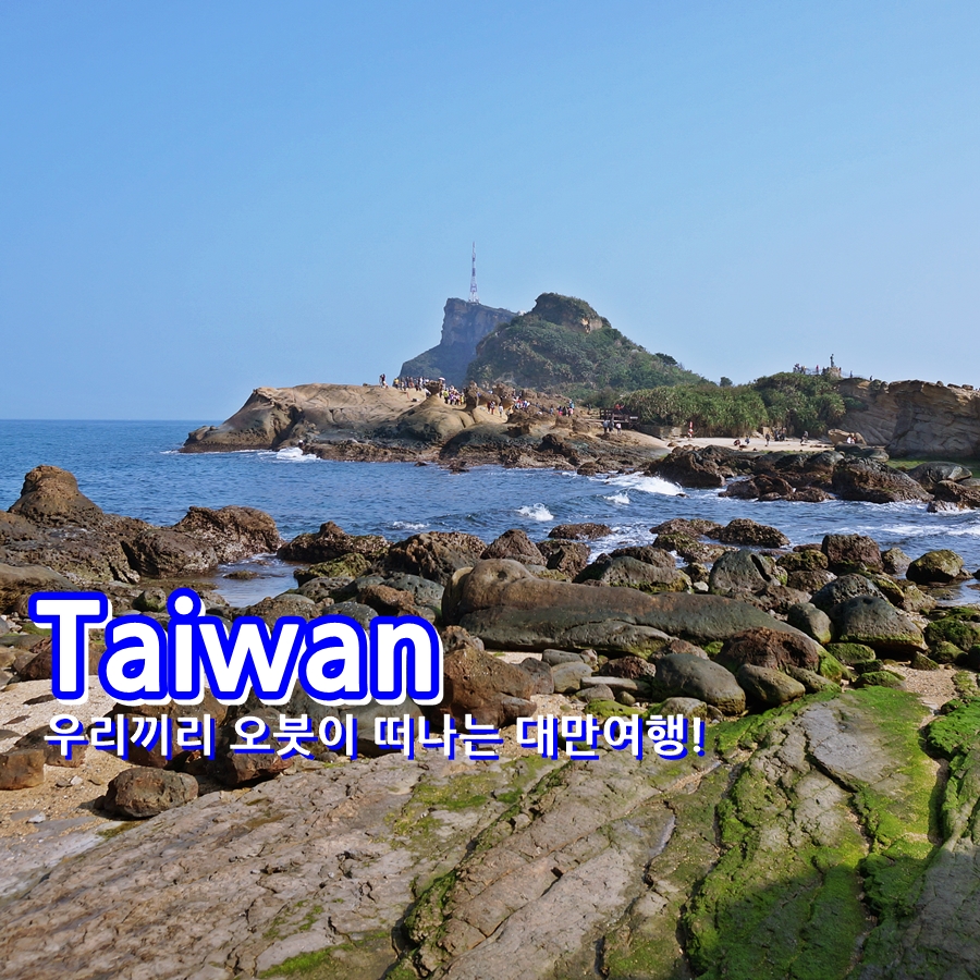 일성여행사 이미지