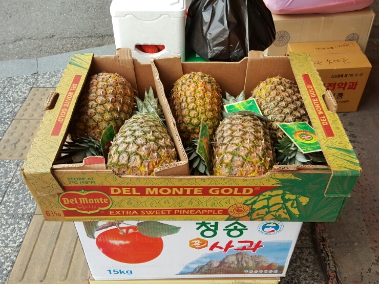 청과불교사 이미지