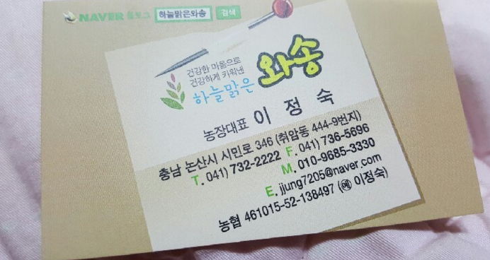 하늘맑은와송 이미지