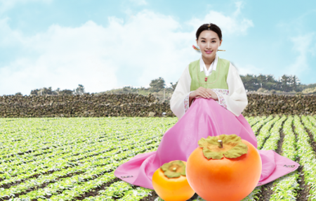 영동감 협동조합 이미지