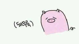롤링크레페 이미지