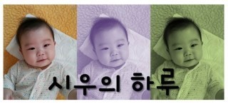 시우시우 이미지