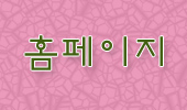 하늘맑은와송 이미지