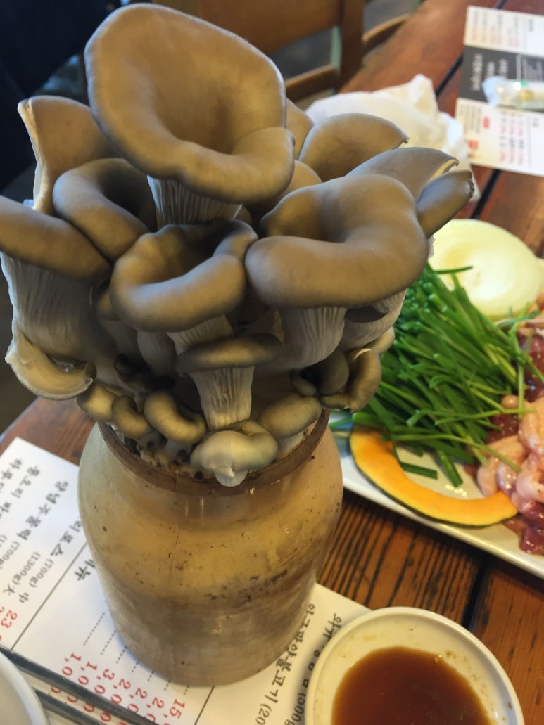 흑돈오리 이미지