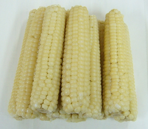 참맛찰김 이미지