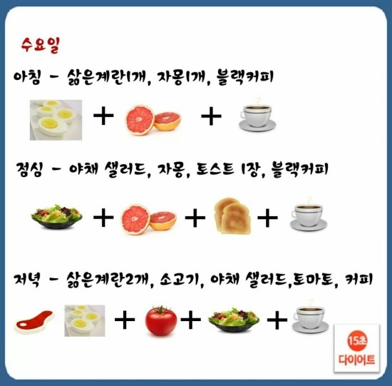 터트 이미지