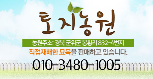 군위꽃농원 이미지