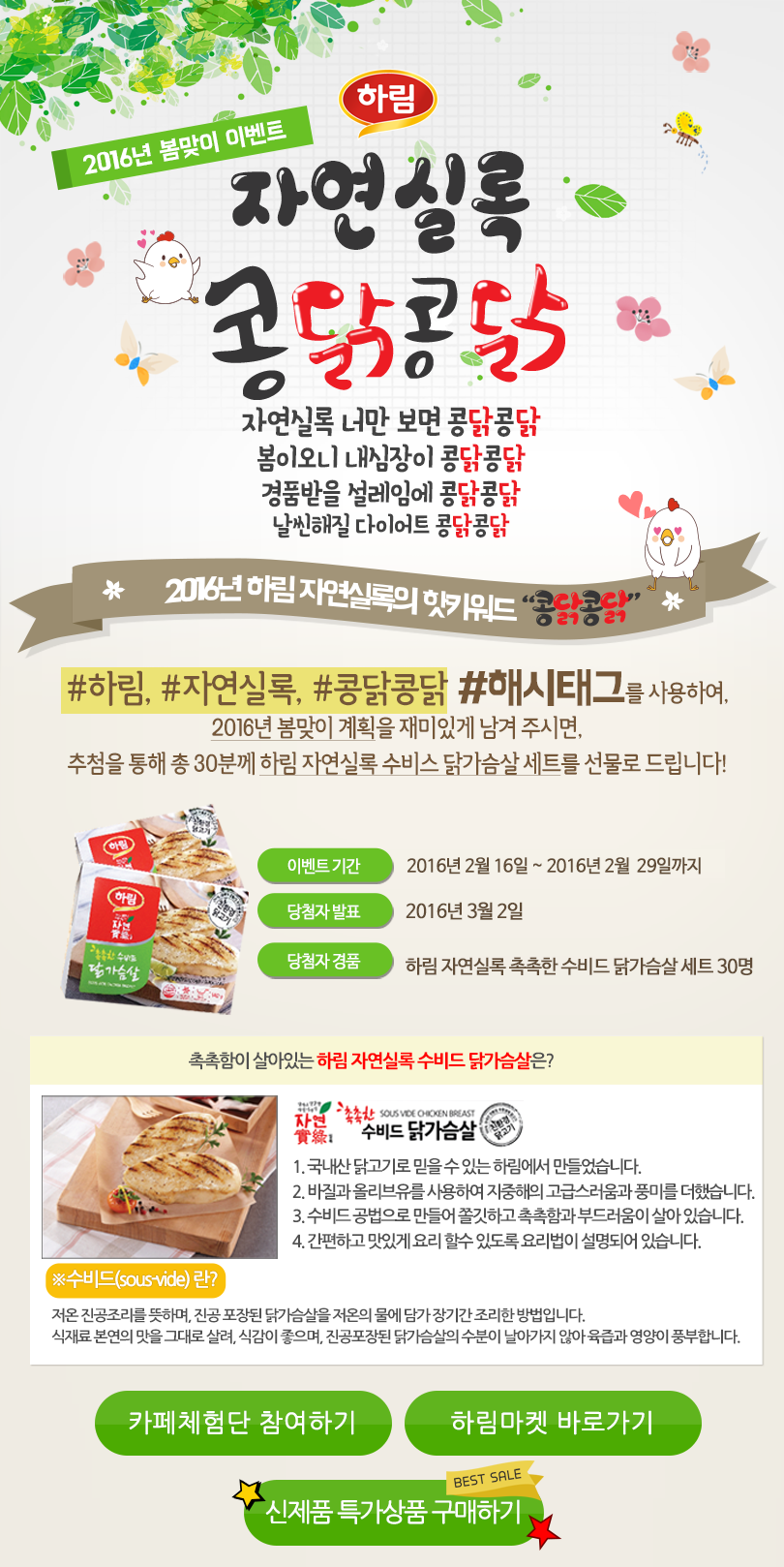 콩닭콩닭 이미지