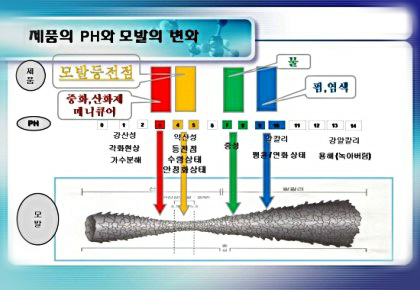 이란헤어 이미지