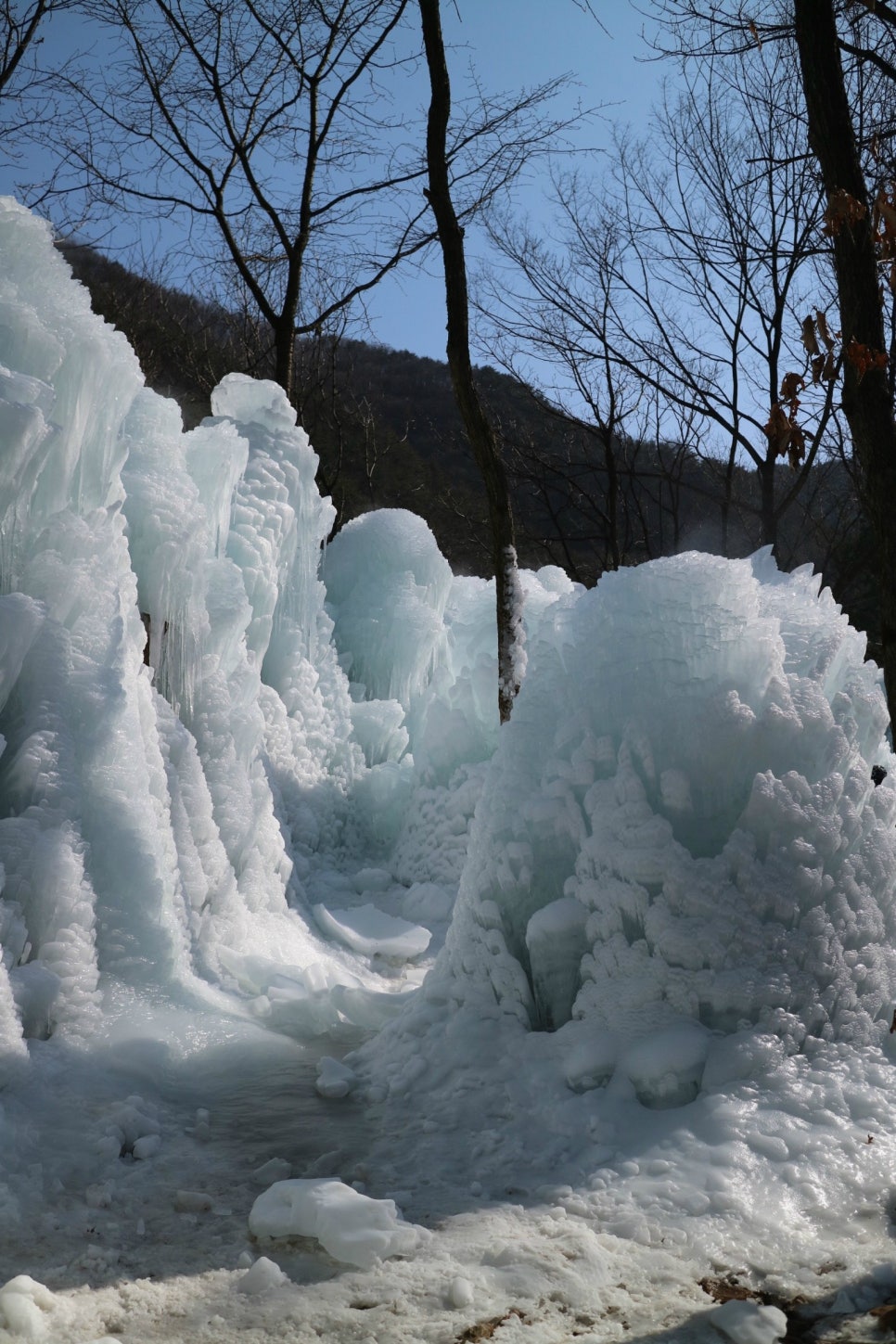 동산오토캠핑장 이미지