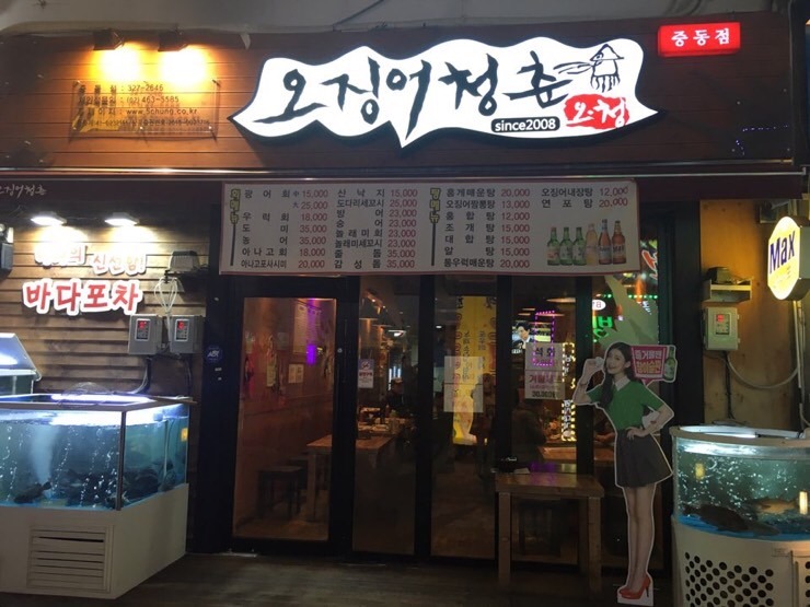 오징어청춘 이미지