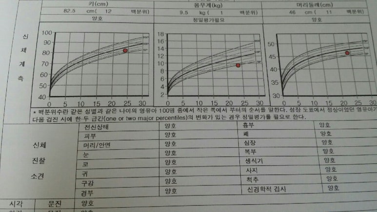 고마또래 이미지