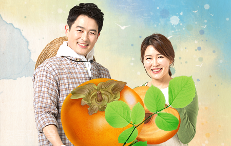 영동감 협동조합 이미지