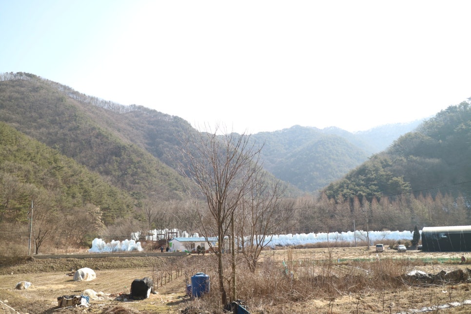 동산오토캠핑장 이미지