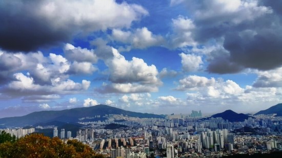 로터리커피숍 이미지