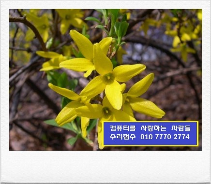 우리피씨컴퓨터 이미지