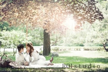 로이(ROI) 이미지