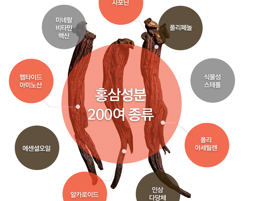 농업회사법인(주)한국인삼 이미지