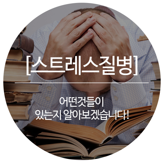 아비올라 이미지