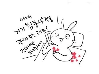 보라펫 이미지