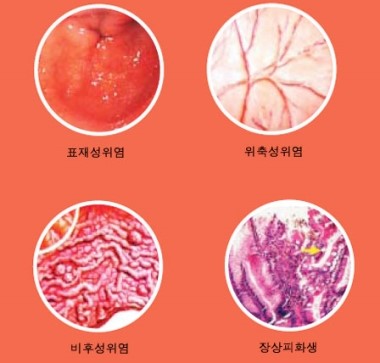 강내과의원 이미지
