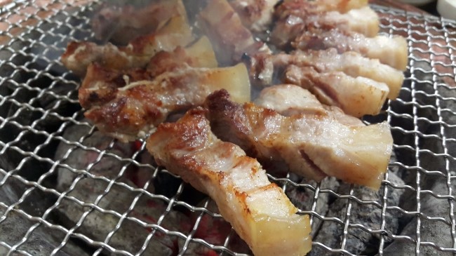 제주도야지 이미지