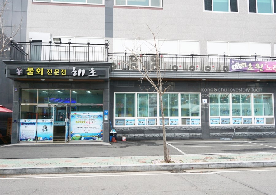 자매물회 이미지
