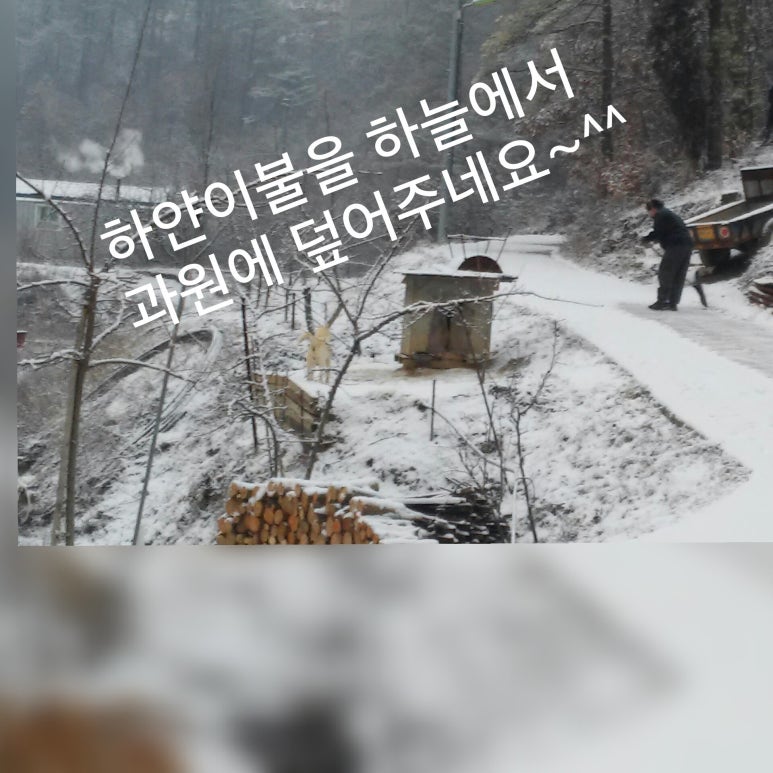 사랑방이불 이미지