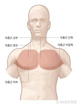 성지스포렉스 이미지
