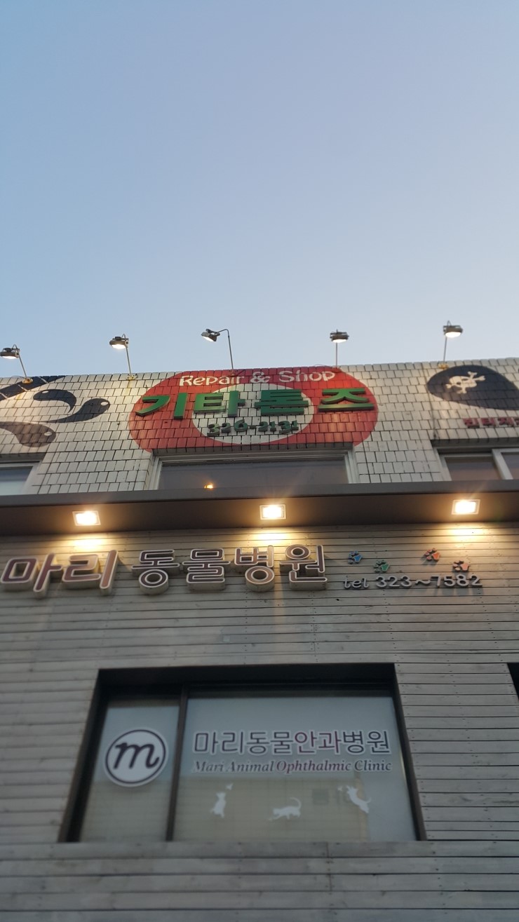 기타톤즈 이미지