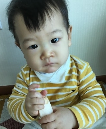 블루독베이비현대 이미지