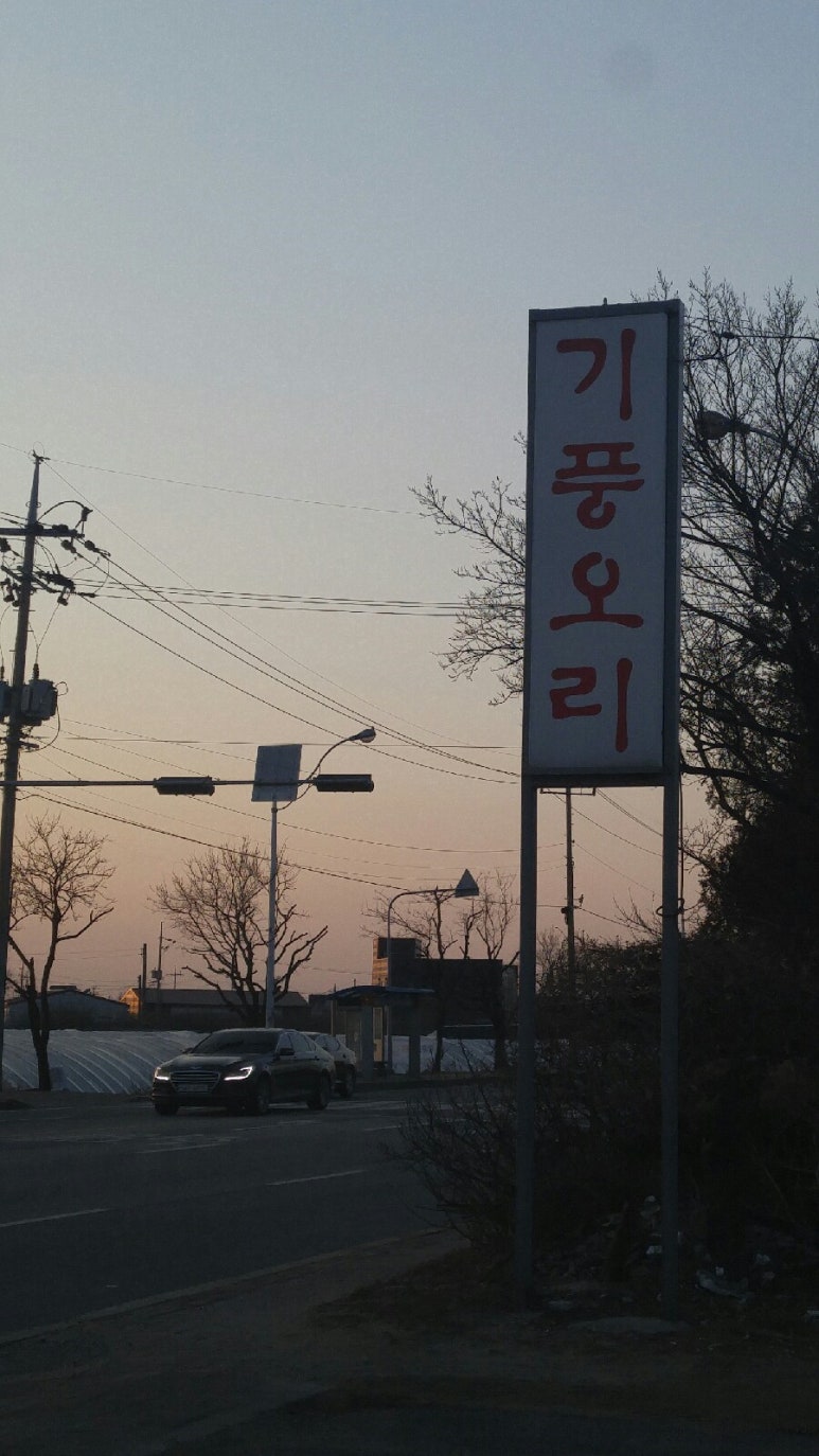 기풍오리 이미지