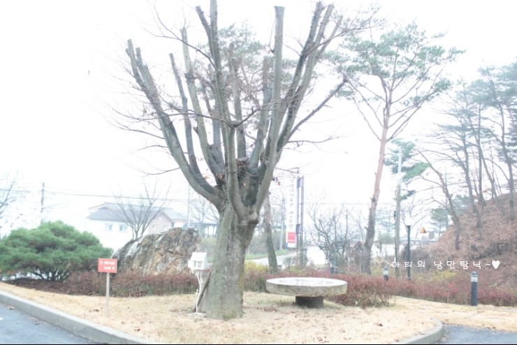 청학대미술관 이미지