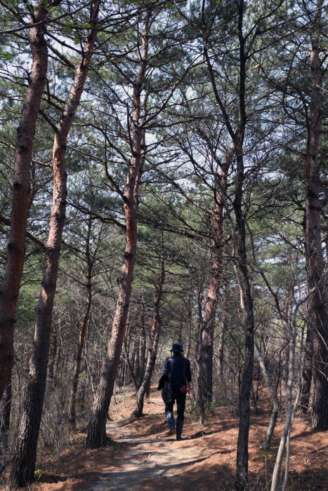 설악순두부 이미지