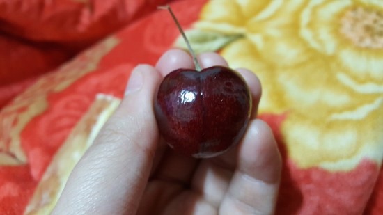 체리마트 이미지
