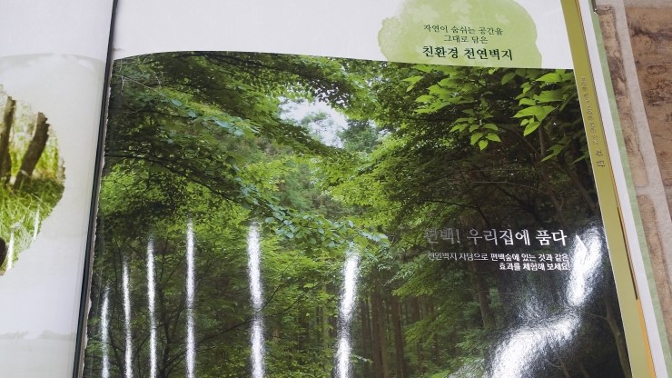 개나리벽지(주) 이미지