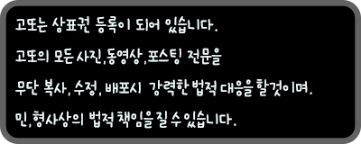 전라도막횟집 이미지