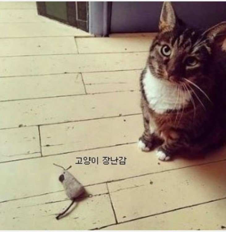 봉숙이 이미지