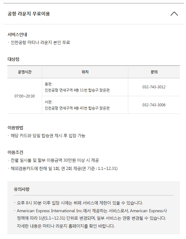 스카이플래티늄항공 이미지