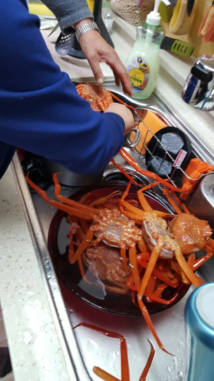 까까뽀꼬 이미지