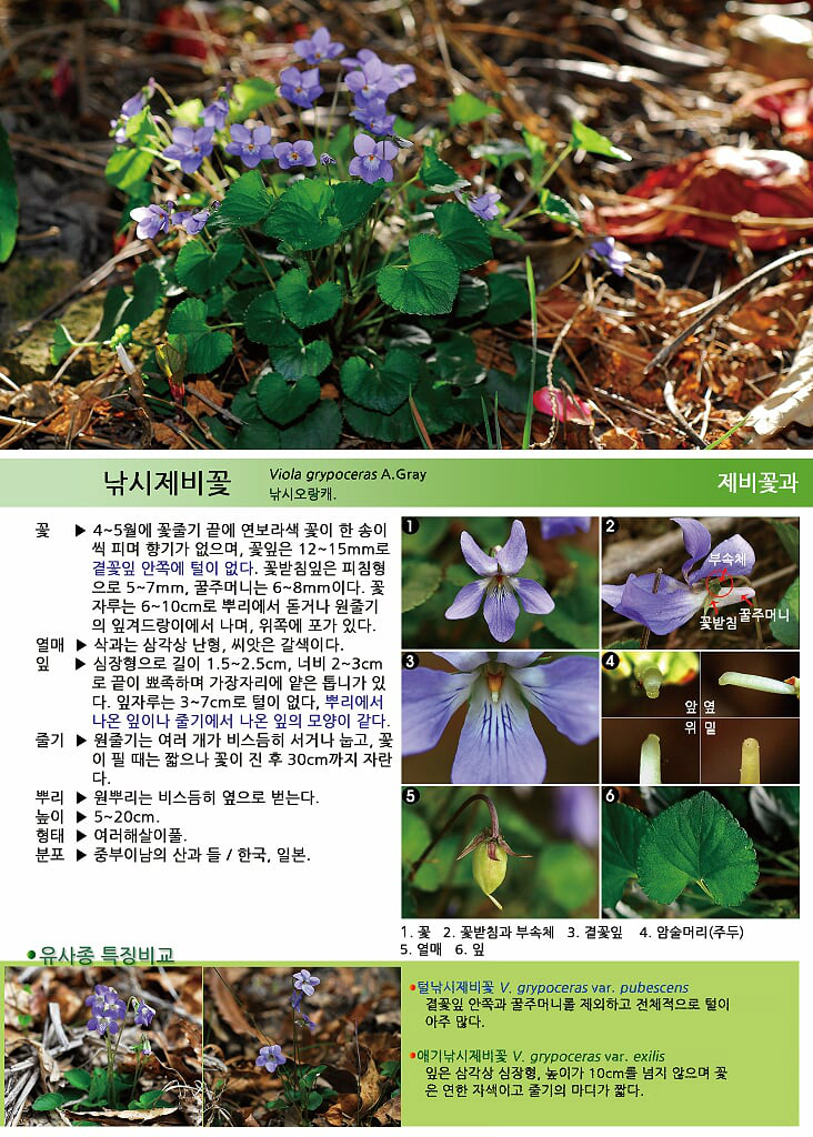 조은산림 이미지