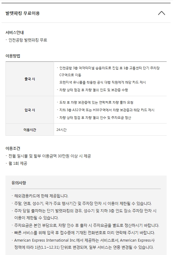스카이플래티늄항공 이미지