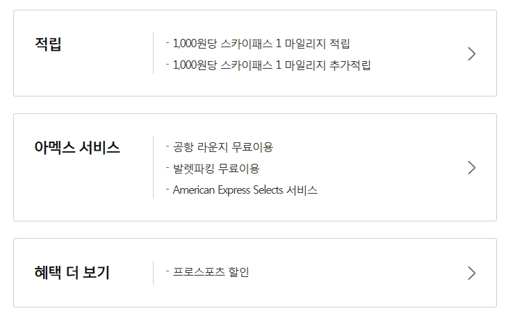 스카이플래티늄항공 이미지