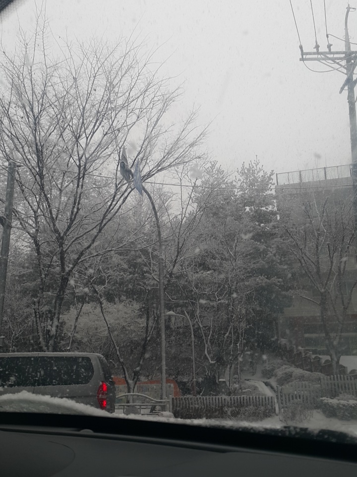 꼬사랑 이미지