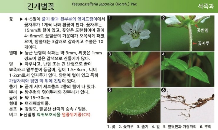 조은산림 이미지